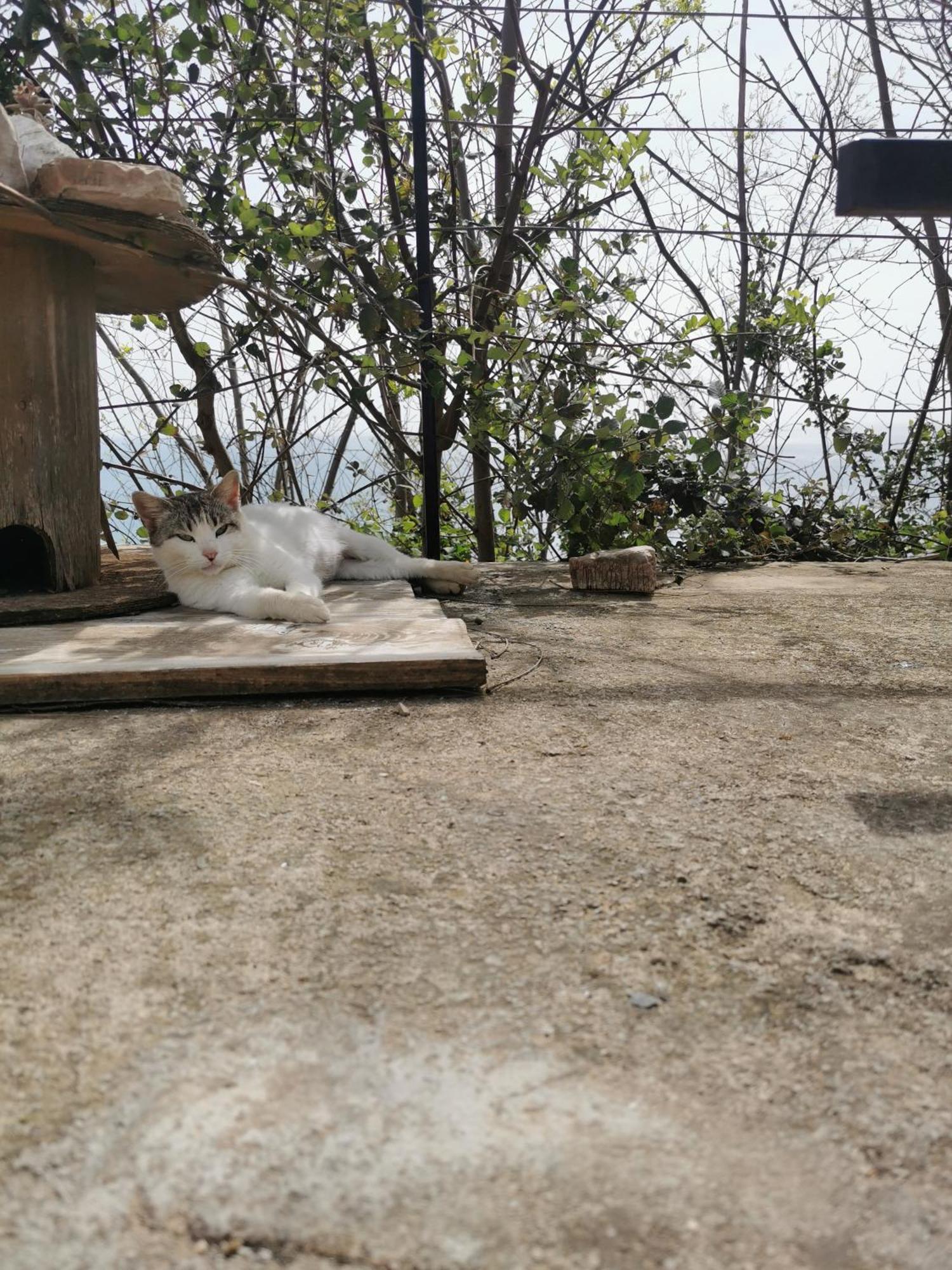 High House *